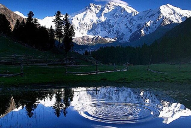 Fairy Meadows, Rakaposhi BC, K2 BC, Ghandagoro High Pass, Thallay Valley