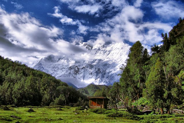 Nanga Parbat (8125m) Diamir Face Expedition