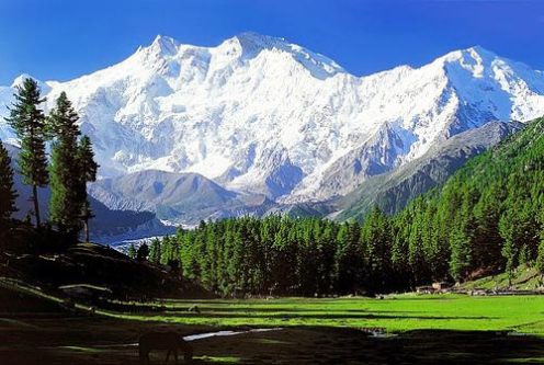 Pakistan Big Five Base Camps Trek